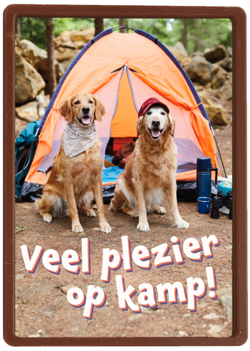 Kaart Hallmark | Op Kamp | Op Kamp Kaart 2 Honden Bij Tent
