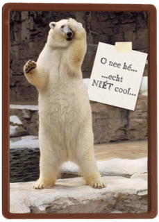 verwarde ijsbeer