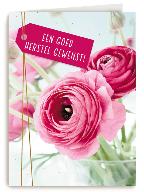 Kaart Hallmark | Beterschapskaarten Operatie En Revalidatie | Beterschapskaart Operatie Een Goed Herstel Gewenst