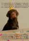 verjaardagskaart met hond met feesthoed