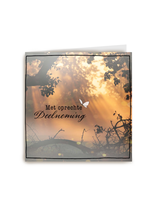 foto van boomtakken