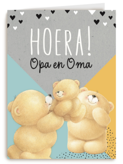 forever friends hoera opa en oma krijgen een kleinzoon