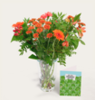Boeket Bloemen Emmanuel