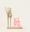 Brievenbuspakket Droogbloemen Roze