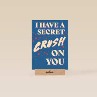 I have a secret crush on you
