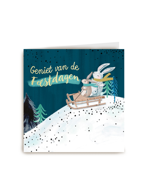 kerstkaart konijn op slee