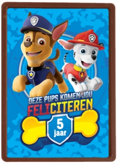 Paw Patrol kaart deze pups komen jou feliciteren