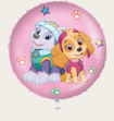 Ballon Paw Patrol Skye & Everest Multi