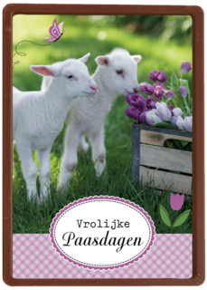 lammetje bloem pasen