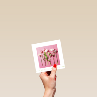 lente bloemen op roze achtergrond