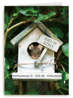 verhuizen nieuw adres vogelhuis