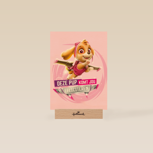 Paw Patrol deze pup komt jou feliciteren