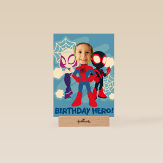 Birthday hero spidey and friends