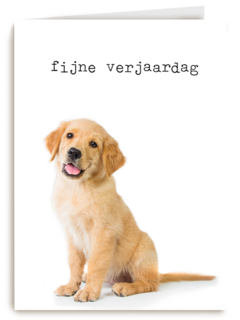 Verjaardagskaart Furry cuddles hond