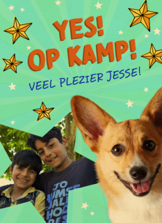 Op kamp corgi