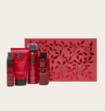 Rituals Cadeauset Ayurveda Small 