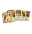 Catan Het Snelle Kaartspel Vanaf 8 Jaar