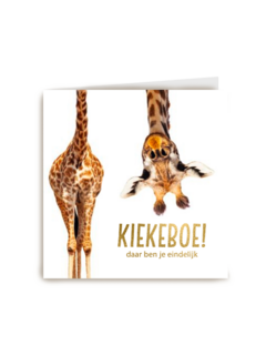 geboorte giraffe kiekeboe