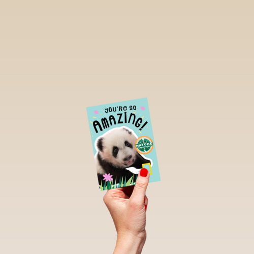 verjaardag kaart pandabeer