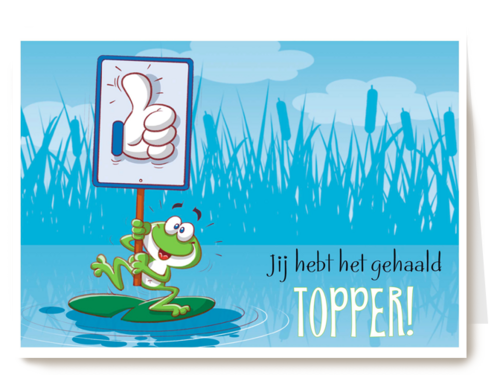 kikker met bord topper