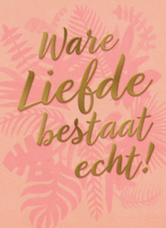 ware liefde bestaat echt