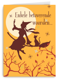 Heks op bezemsteel