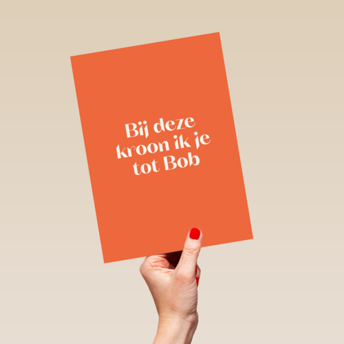 AndC Bob