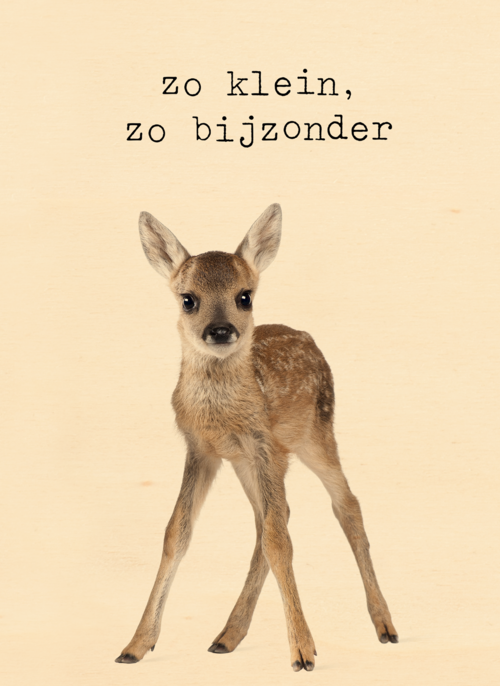 Een furry cuddles kaart zo klein zo bijzonder hert