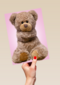 Chromazone Roze knuffelbeer