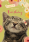relax on your birthday