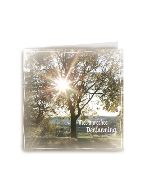 oprechte deelneming