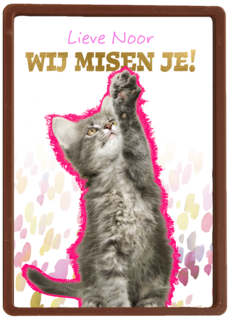 Lieve we missen je kat Op Kamp