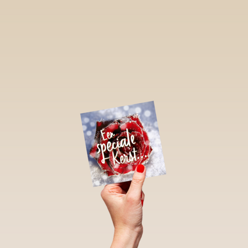 een special kerst met roos