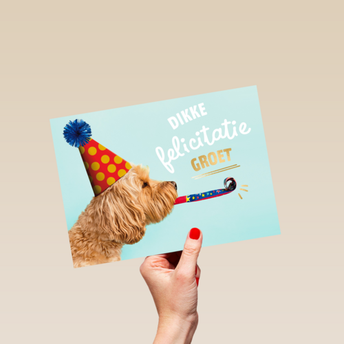 hond met feesthoedje dikke felicitatiegroet kaart