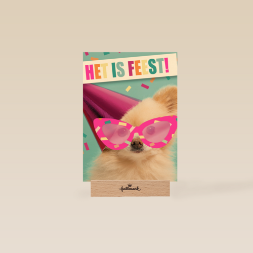 het is feest met hond met bril en hoed