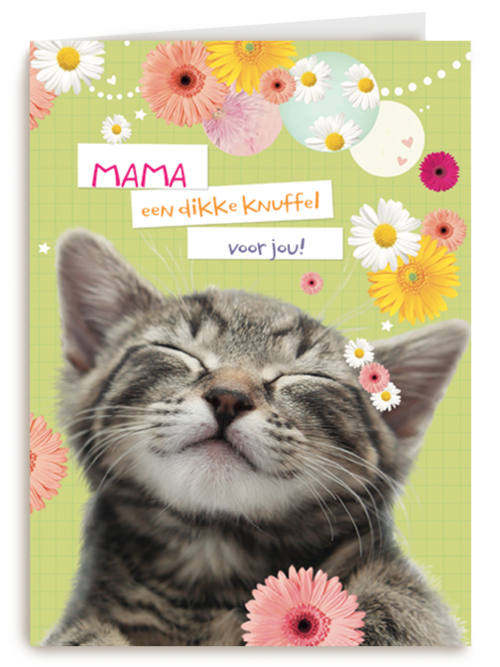 moederdag klassiek een katje voor moederdag
