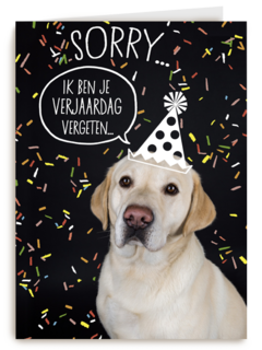 sorry ik ben je verjaardag vergeten