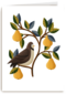 takken met vogel en fruit