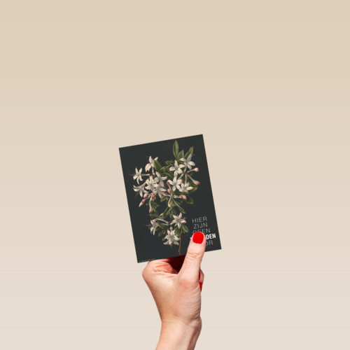 hier zijn geen woorden voor bloemen