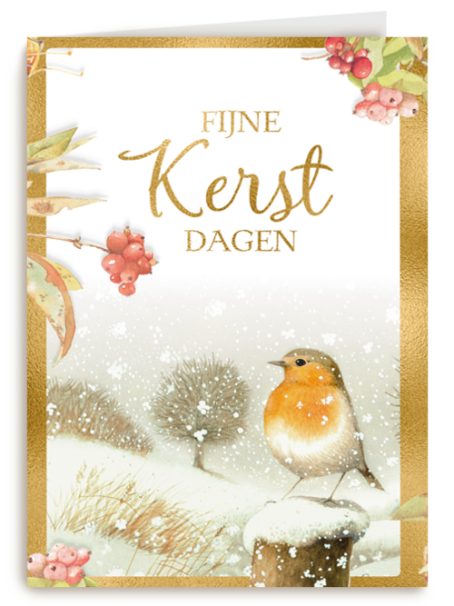 Kerstkaart marjolein bastin winter roodborstje