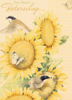 zonnebloemen met mus beterschap