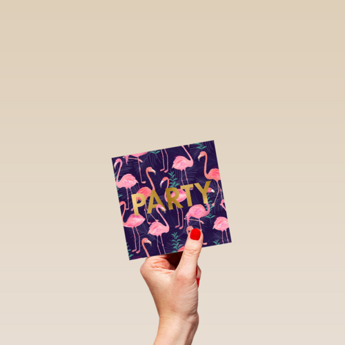 flamingoparty