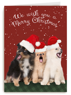 Kerstmis Honden Met Kerstmuts