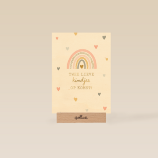 2 lieve kindjes op komst met regenboog