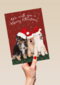 Kerstmis Honden Met Kerstmuts