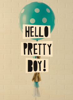 geboorte zoon hello pretty boy