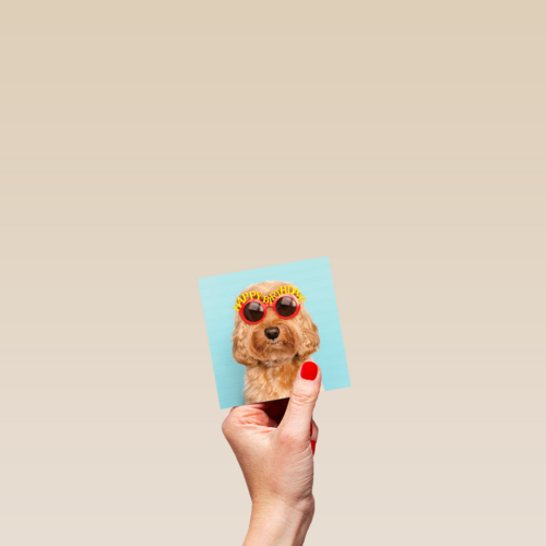 Verjaardagskaart hond met zonnebril