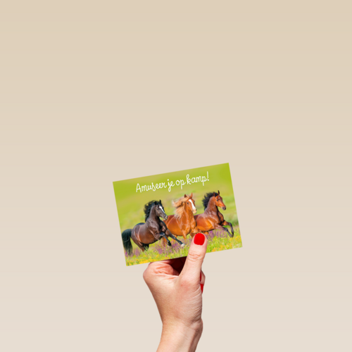 amuseer je op kamp