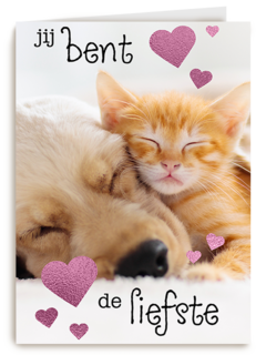 Valentijn Jij bent de liefste hond kat