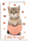 Liefde kaart kat met hart en dikke knuffel